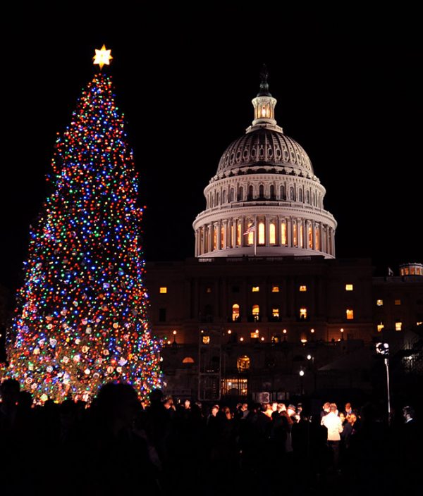 About Us Christmas Direct OKC